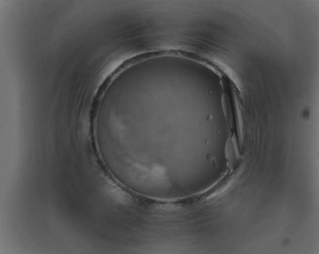 X0000094801023200711241419