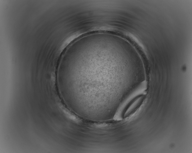 X0000094801025200711241419