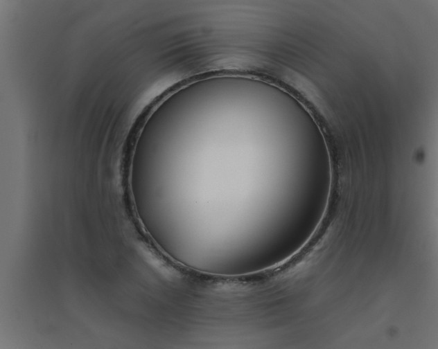 X0000094801026200711241419