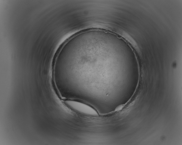 X0000094801028200711241419