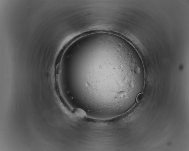 X0000094801030200711241419