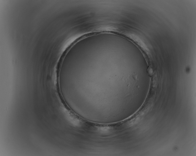 X0000094801031200711241419
