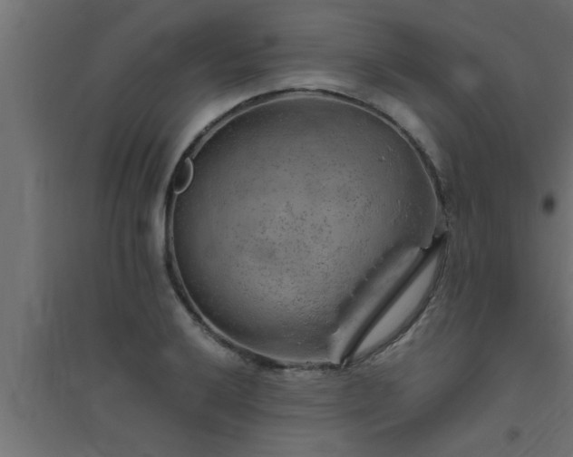 X0000094801032200711241419
