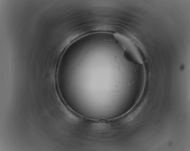 X0000094801033200711241419