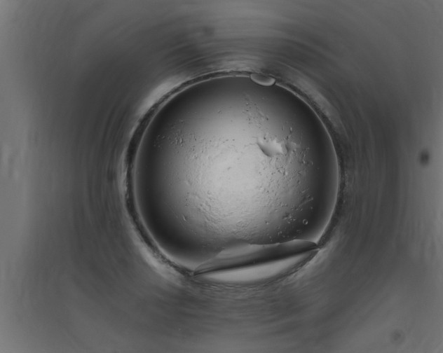 X0000094801034200711241419