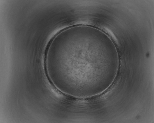 X0000094801035200711241419