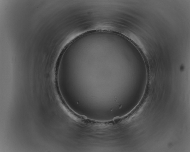 X0000094801037200711241419