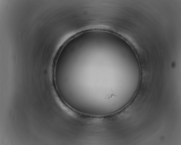 X0000094801038200711241419
