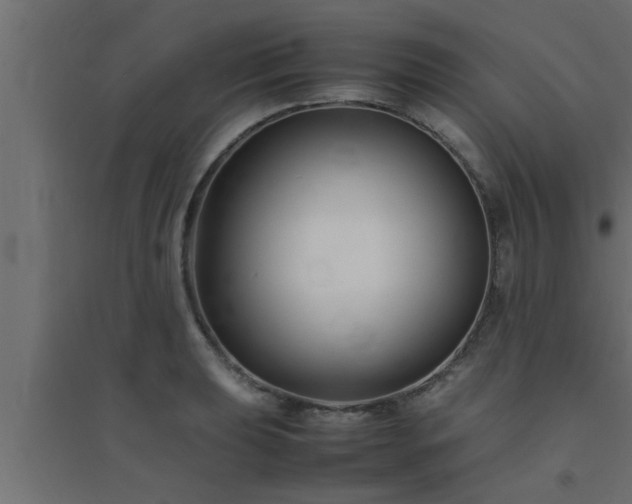 X0000094801039200711241419