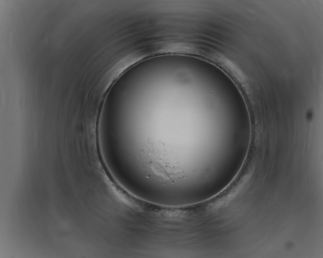 X0000094801041200711241419