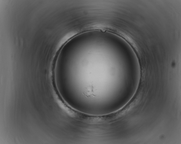X0000094801042200711241419