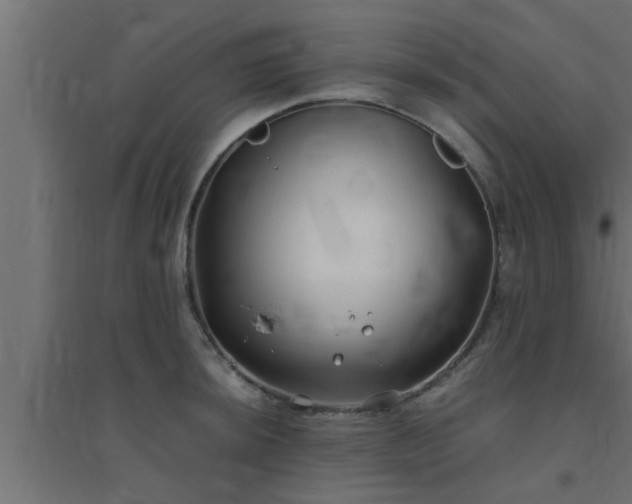 X0000094801044200711241419