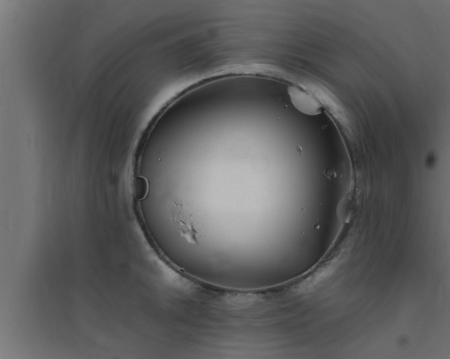 X0000094801046200711241419