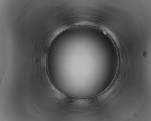 X0000094801049200711241419