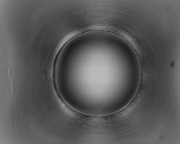 X0000094801050200711241419