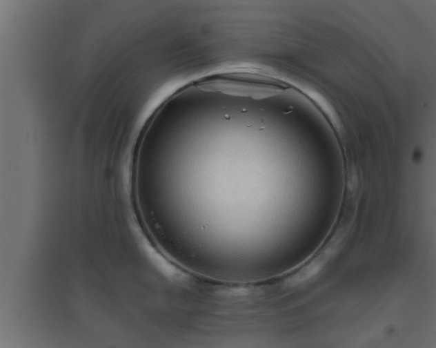 X0000094801054200711241420