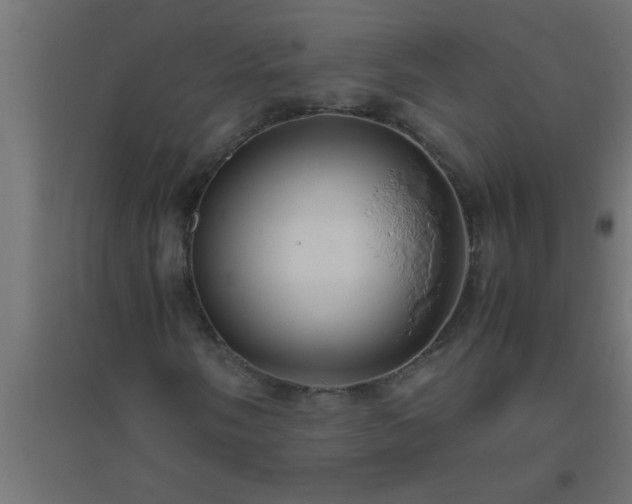 X0000094801058200711241419