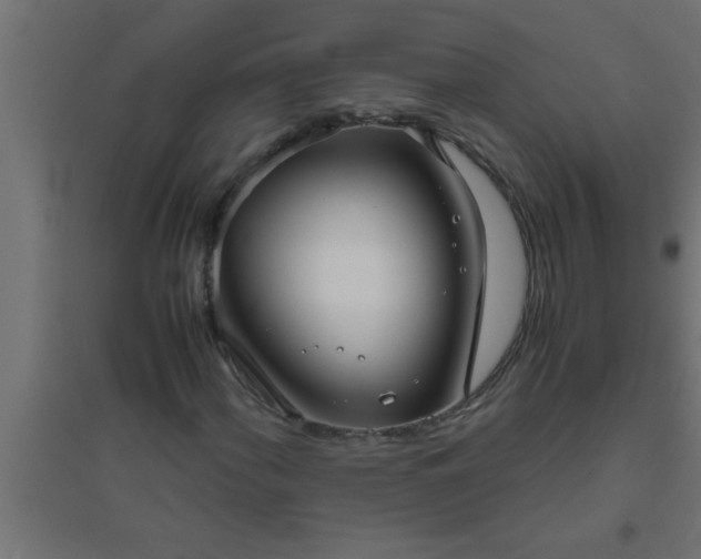 X0000094801060200711241419