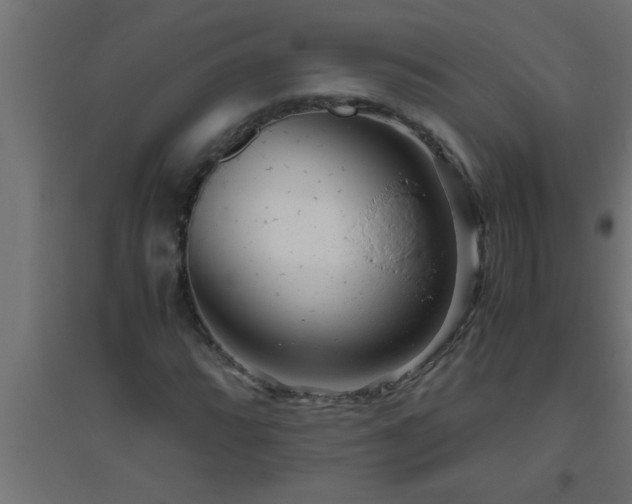 X0000094801064200711241419