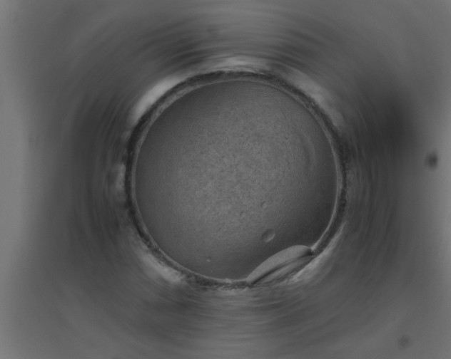 X0000094801066200711241419