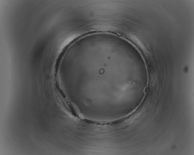 X0000094801071200711241419
