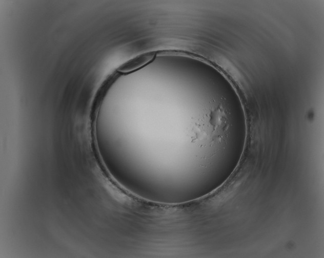 X0000094801072200711241419