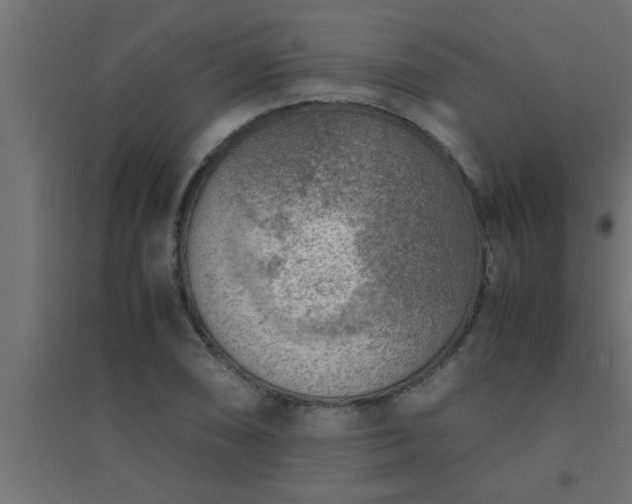 X0000094801074200711241419
