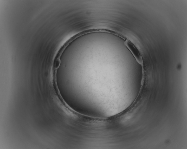X0000094801076200711241419
