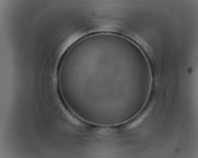 X0000094801077200711241419
