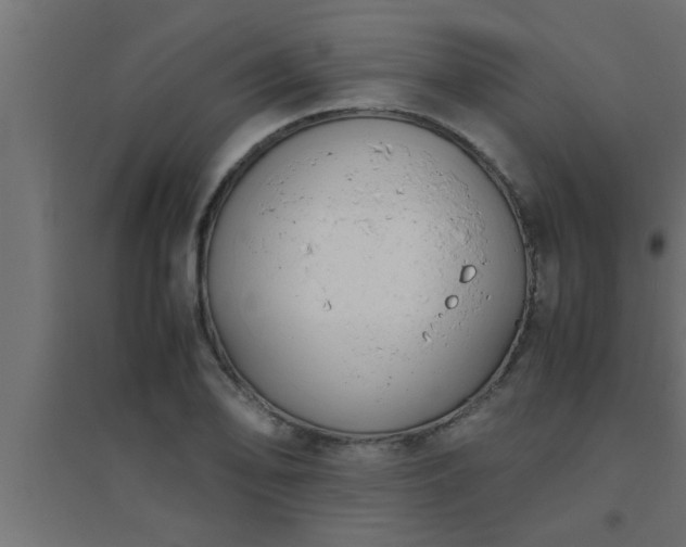 X0000094801078200711241419
