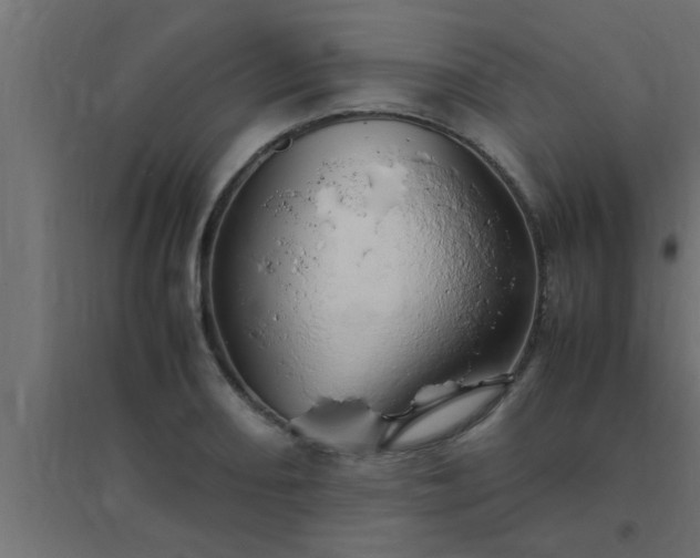 X0000094801082200711241419