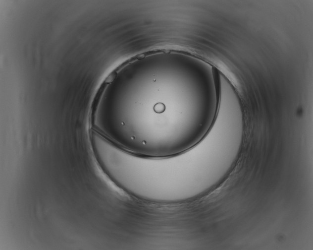 X0000094801084200711241419