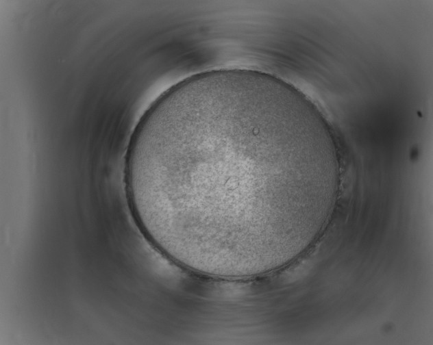 X0000094801086200711241419
