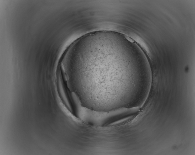 X0000094801088200711241418
