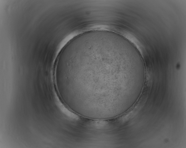 X0000094801090200711241418