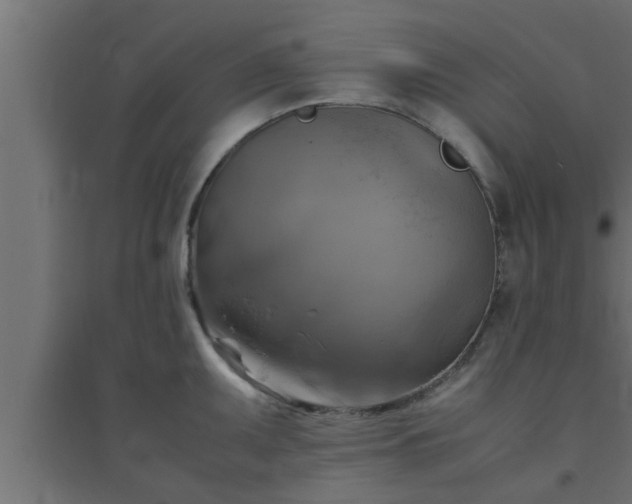 X0000094801095200711241418