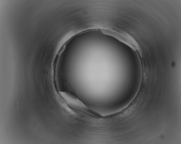X0000094801096200711241418