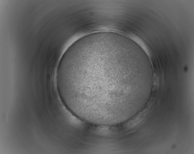 X0000094801098200711241418