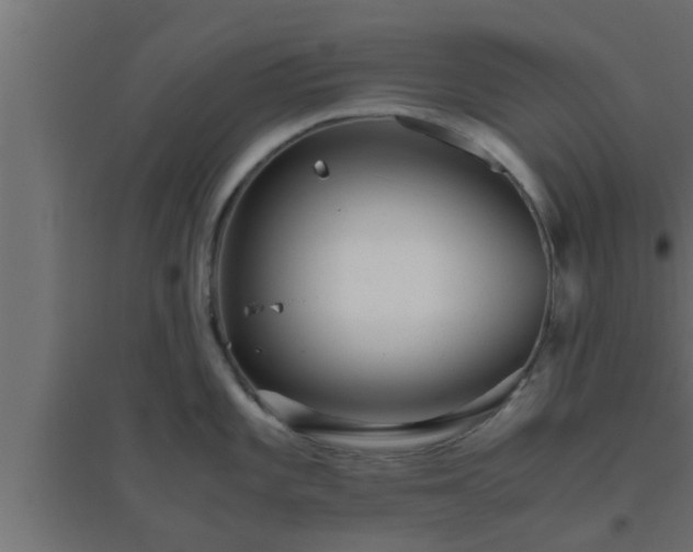 X0000094801101200711241418