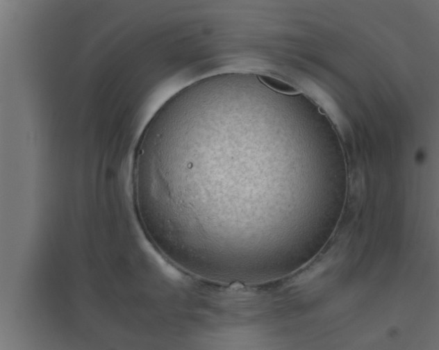 X0000094801103200711241418
