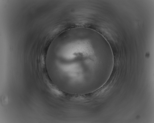 X0000094801106200711241418