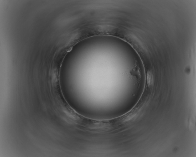 X0000094801107200711241418