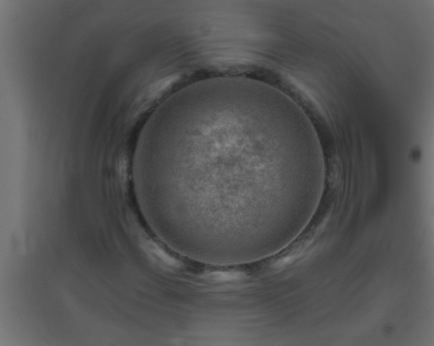 X0000094801108200711241418