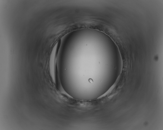 X0000094801109200711241418