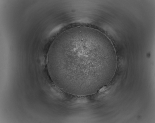 X0000094801110200711241418