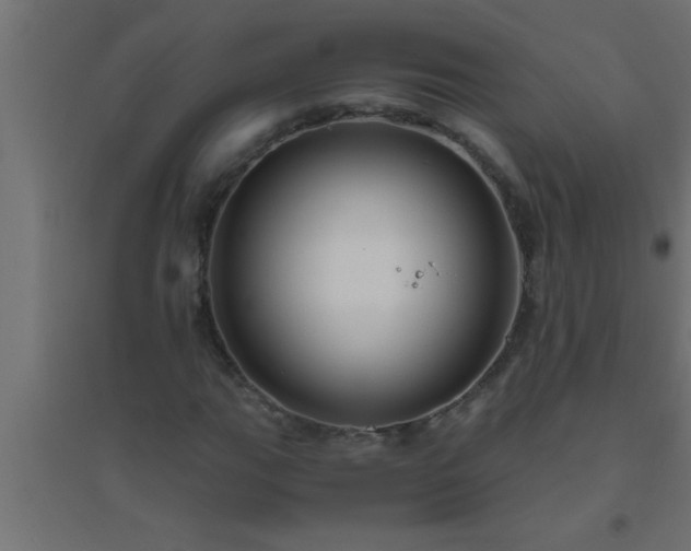 X0000094801111200711241418