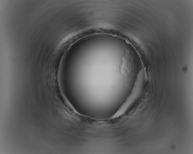 X0000094801112200711241418