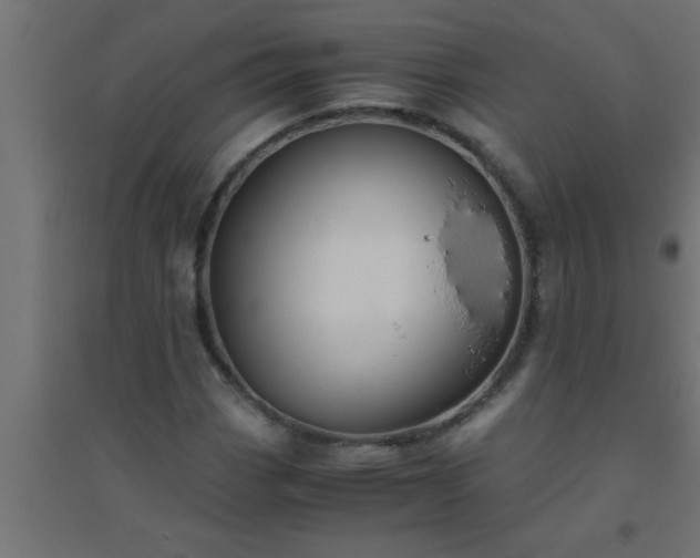 X0000094801113200711241418