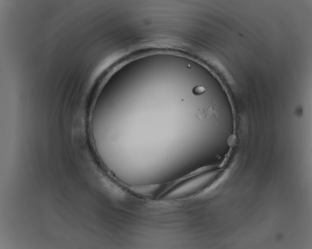 X0000094801114200711241418