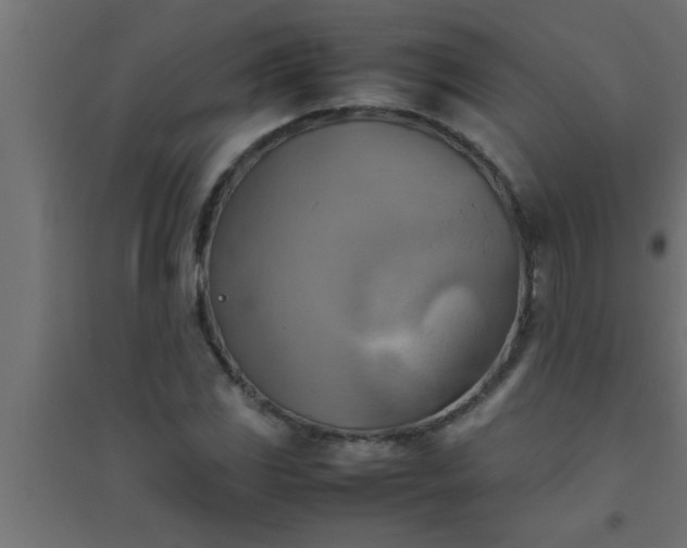 X0000094801117200711241418